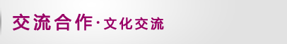 返回本栏目首页